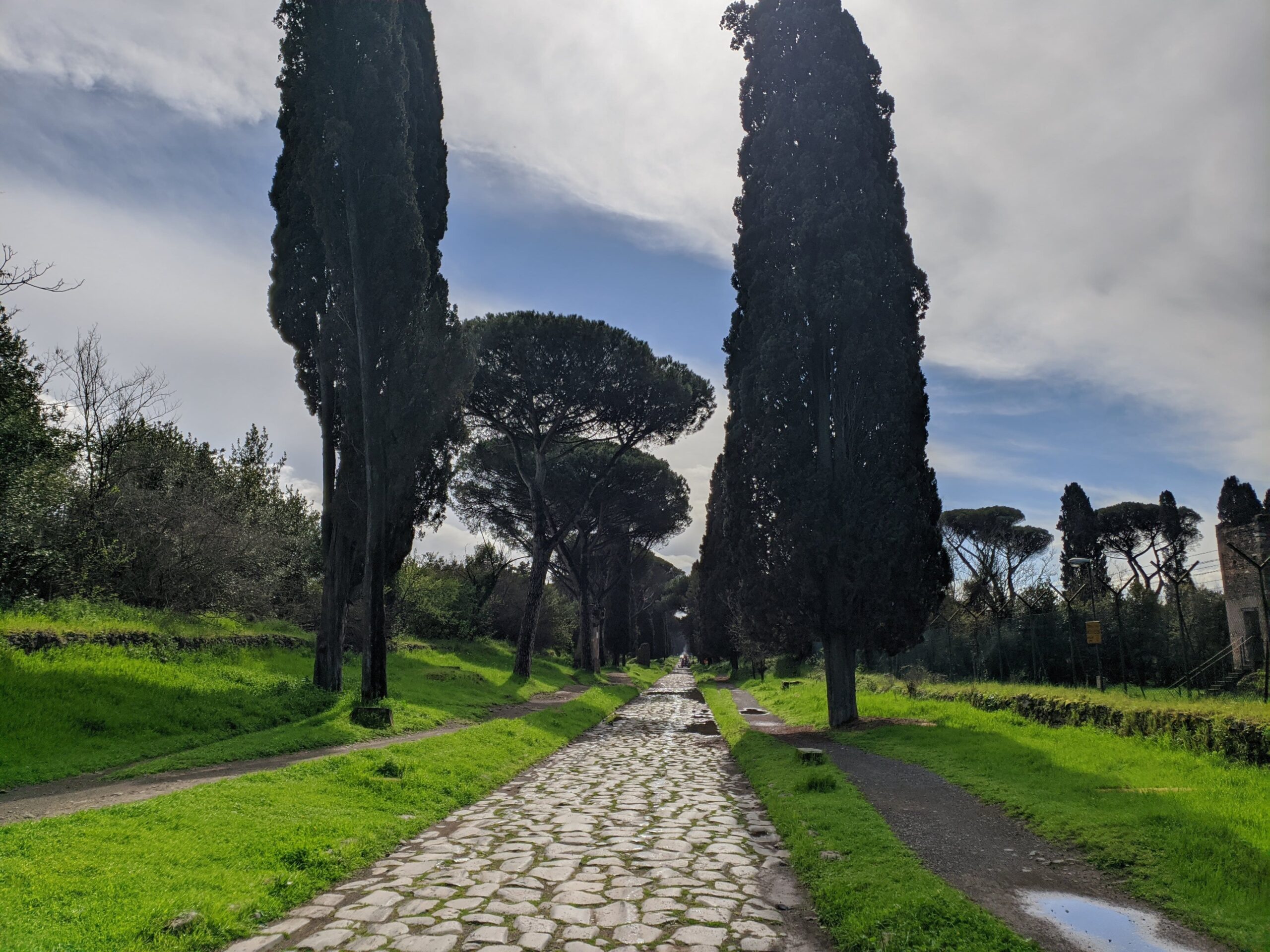 Foto da Via Appia, com sua calçamento de pedras largas, grama ao redor, e ciprestes típicos da Itália.