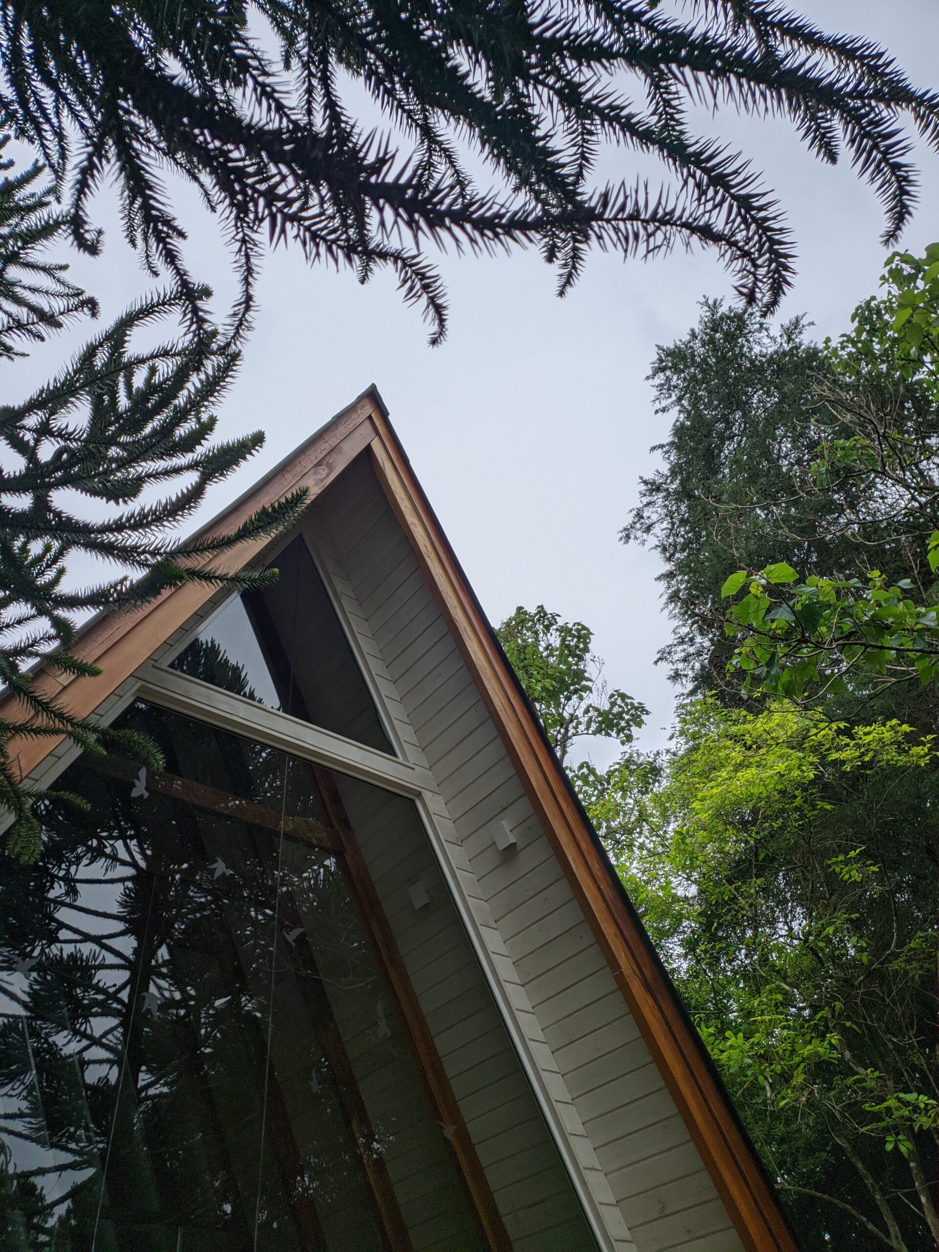 Perspectiva de baixo para cima de uma cabana perto de Curitiba com teto em forma de A, mostrando a estrutura de madeira e uma grande janela que reflete a vegetação exuberante do lado de fora, com o céu visível entre as folhagens de árvores.