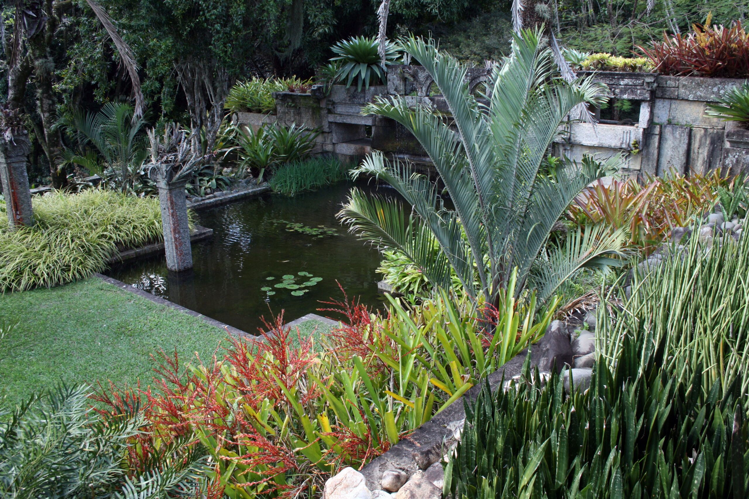 Jardim paisagístico do Sítio Roberto Burle Marx, mostrando uma diversidade de plantas tropicais e um lago tranquilo, refletindo a visão e o estilo do famoso paisagista brasileiro em um Patrimônio Mundial da UNESCO.