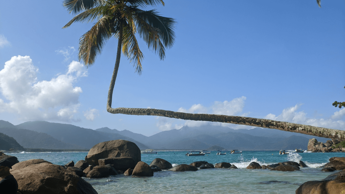 Imagem de uma praia tropical com um coqueiro solitário inclinado sobre rochas à beira-mar. O céu está parcialmente nublado e há montanhas ao fundo.