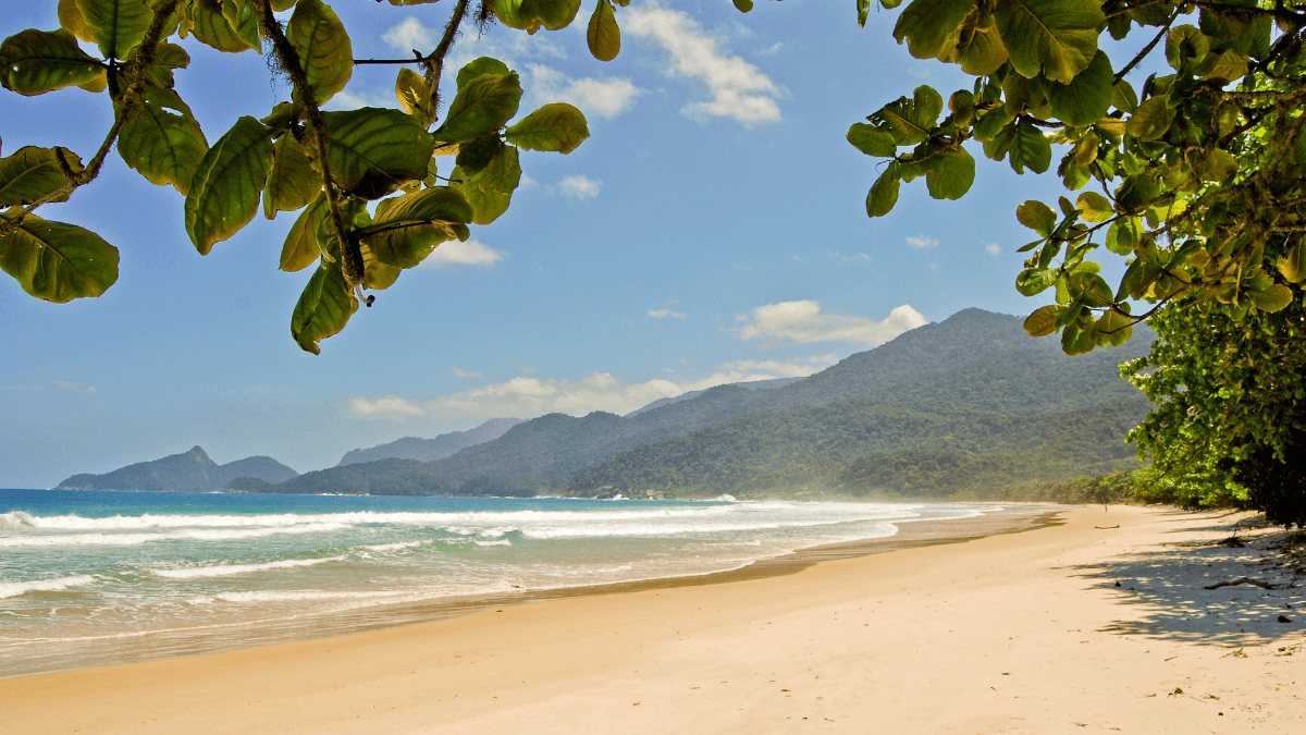 Vista da Praia de Lopes Mende em Angra dos Reis, é possível ver ondas quebrando em tom de azul na areia amarelo queimado, ao fundo estão pequenas montanhas cobertas de vegetação verde e em primeiro plano "emoldurando" a parte de cima da foto estão folhas de uma Amendoeira.