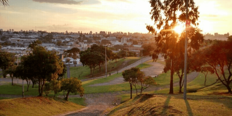 Sol poente brilha através das árvores no parque de Curitiba, iluminando o caminho de terra e a grama verde com a cidade ao fundo.