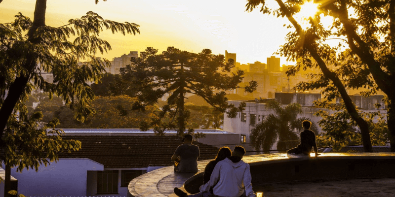 Pessoas sentadas contemplam o pôr do sol dourado em Curitiba, com árvores e silhuetas urbanas em primeiro plano.